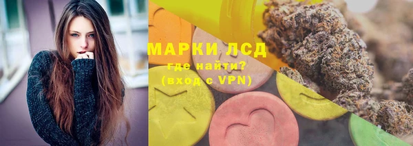 хмурый Алзамай