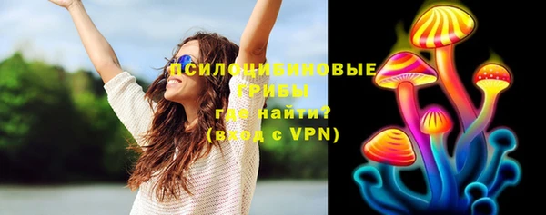 хмурый Алзамай