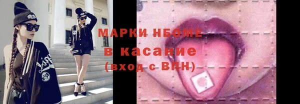 хмурый Алзамай