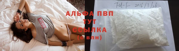 таблы Новозыбков