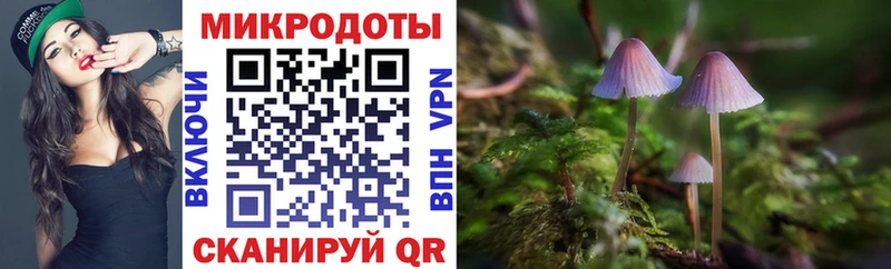 hydra зеркало  Тайшет  Псилоцибиновые грибы Magic Shrooms  цены наркотик 